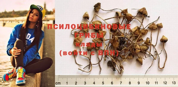 кристаллы Лагань
